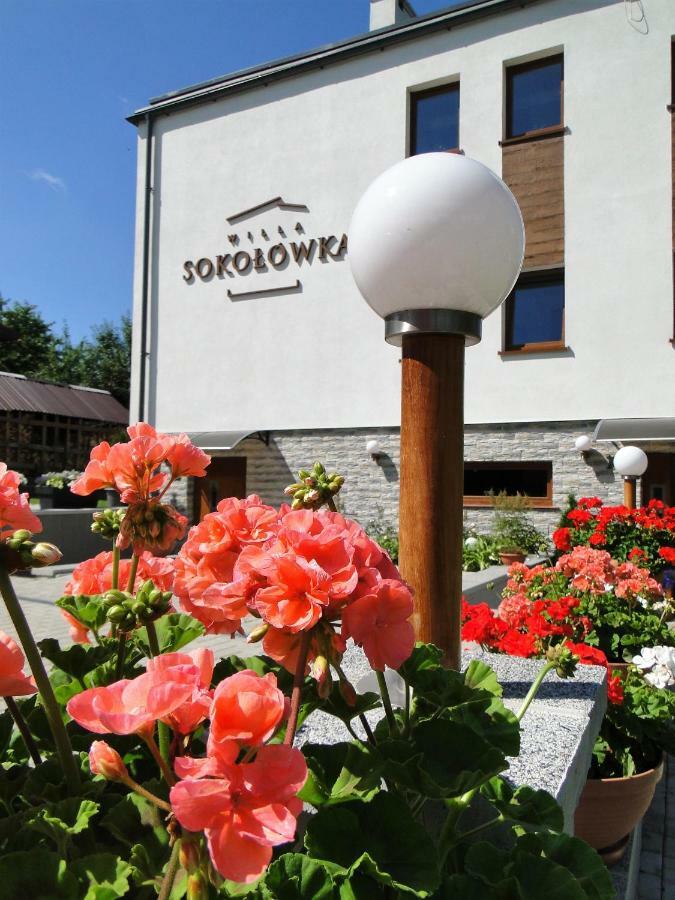 Willa Sokolowka Polanica-Zdrój Exterior foto
